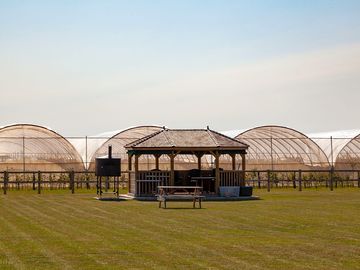 The communal gazebo