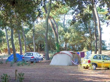 Pitches under the trees