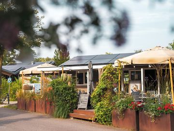 Brasserie