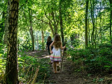 Five km woodland trail walk attached to park