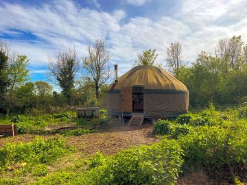 Situated at the top of the meadow in the wild herb garden