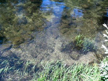 Crystal clear, warm water o the rio alva