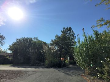 Road through the pitches