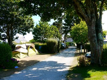 Grass pitches with partial shade