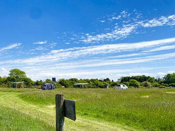 Camping meadow