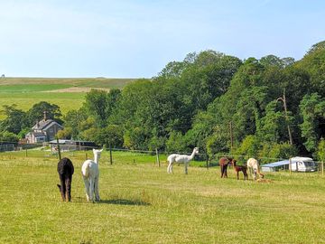 Visitor image of the beautiful views