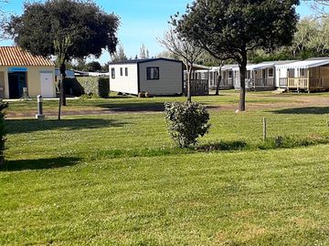 Grass pitches