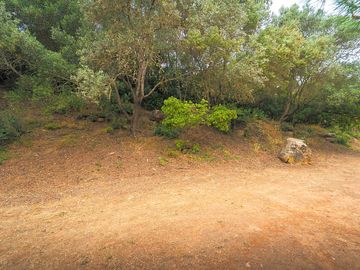 Pitches backed by trees