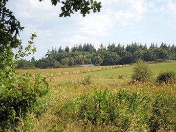Countryside on site