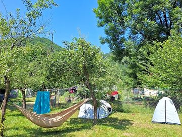 Camping field