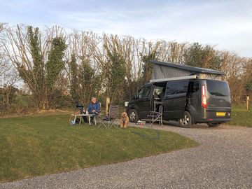 Our first arrivals on the premium pitches