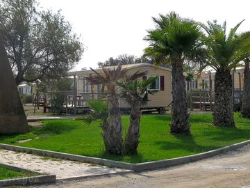 The campsite