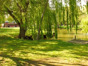Tree-lined site