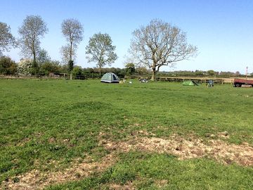 Pitch up near the treeline
