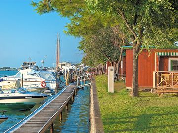 The harbour