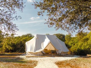 Bell tent surrounded by greenery