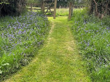 Path from paddock to meadow