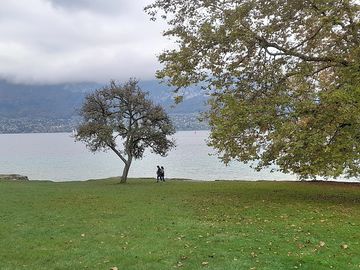 Peaceful lake views