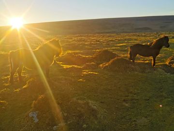 Dartmoor national park