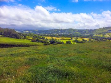 View from the site