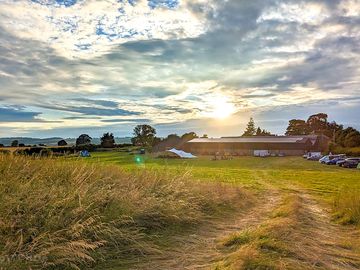 Field view