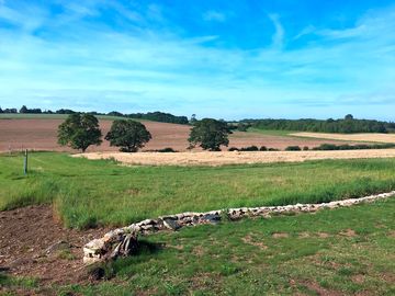 View from the garden, looking up towards north rauceby
