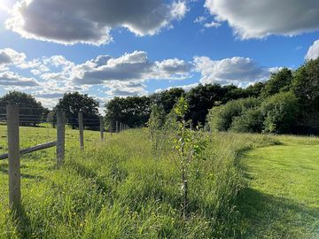 The surrounding area