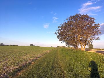 Plenty of footpaths nearby