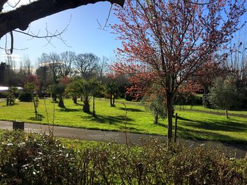 Pitches among the trees
