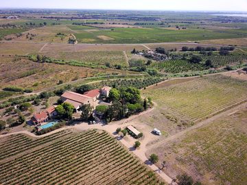 Aerial view of the domain
