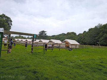 Safari tents