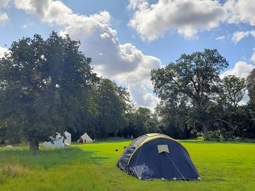 Three visitor tents on the camping meadow