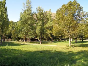 Non-electric pitches