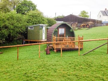 The pod is situated on a gently sloping area of the farm, in the main alpaca paddock