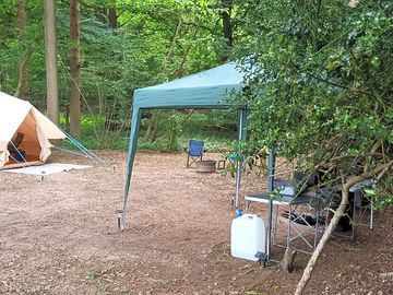 Dogs allowed in.our woodland pitches