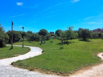 The orchard