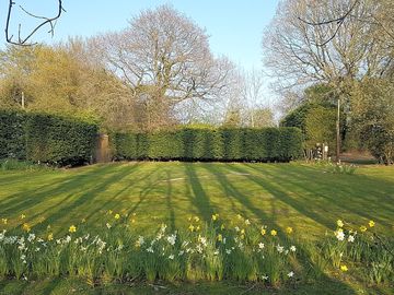Willow Field