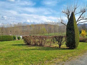 Pitches separated by hedges