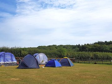 Grass pitch