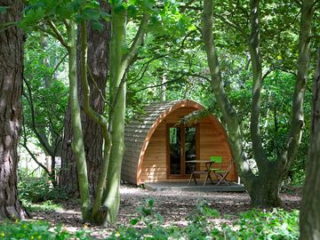 Dog-friendly pod