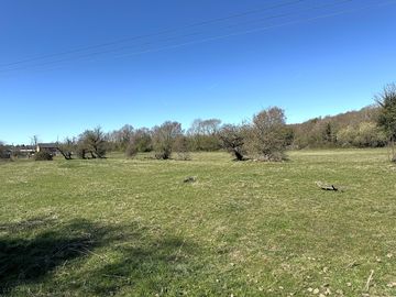 Family camping field