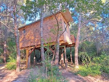 Treehouse from the outside