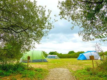 Electric grass tent or trailer tent pitch