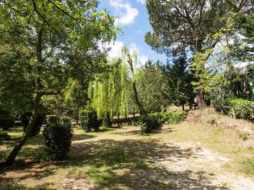 Grass pitches surrounded by trees