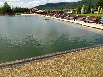 Natural swimming pool and sun deck