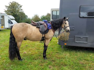 We offer stabling for your horse during your stay