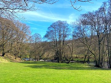 Camping field shaded by trees