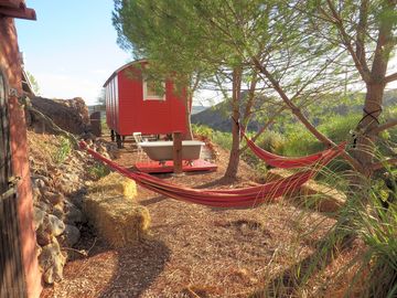 Relax in the hammocks