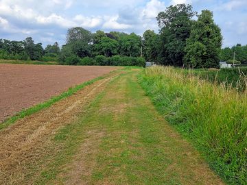 Dog walk from the site