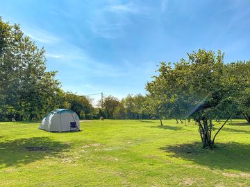 Visitor image of the pitch area